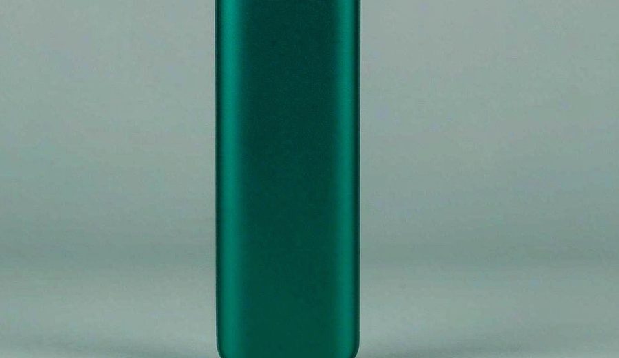 Bulk Kenya Tourist Portable Vape: First-Time Import Steps — Kenya Tourist Gift Portable Vape Bulk